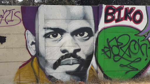 Steve Biko Graffitti in Libradene, Boksburg in Gauteng South Africa.